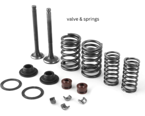 Valve and valve spring